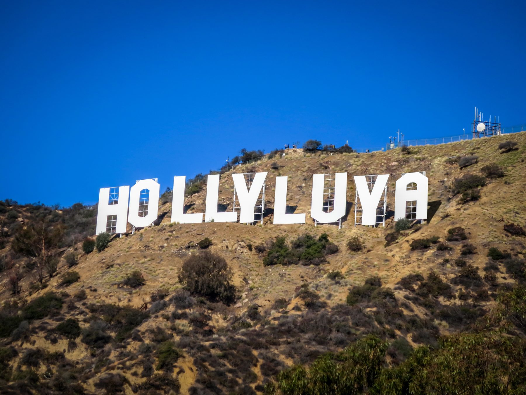 Hollyluya Clothing Company identity, a Hollywood-sign-inspired logo on the real hillside